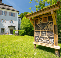 fileadmin/roha/images_galerie/orte_landschaft/Teisendorf/IN-Achthal/TEI-ACHT-0016-0-20-D-roha-Teisendorf-Achthal-Museum-Bienenhotel.png