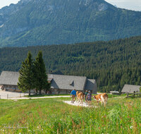 fileadmin/roha/images_galerie/orte_landschaft/Stoisser-Alm/BR-ALMAUF-STOISS-1-8064-D-roha-Almauftrieb-Stoisseralm-Teisendorf-Anger.jpg
