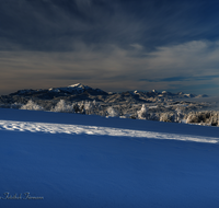 fileadmin/roha/images_galerie/Winter/LANDS-CHIE-BER-WI-0006-D-roha-Landschaft-Neukirchen-Winter-Chiemgauer-Berge.png