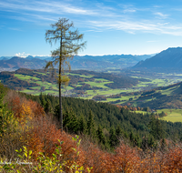 fileadmin/roha/images_galerie/orte_landschaft/Anger/Anger/Anger-Landschaft/LANDS-ANG-TEISB-0002-D-roha-Landschaft-Anger-Teisenberg-Wald-Herbst-Untersberg.png