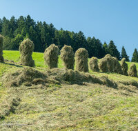 fileadmin/roha/images_galerie/Landwirtschaft/LANDW-HEU-HIEF-1-1147-2-D-roha-Landwirtschaft-Heu-Ernte-Hiefel-Neukirchen.jpg