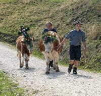 fileadmin/roha/images_galerie/brauchtum/Almabtrieb/Almabtrieb-Stoisser-Alm/BR-ALMAB-STOISS-2026-9009-D-M-roha-Almabtrieb-Stoisseralm-Teisendorf-Anger.jpg