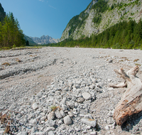 fileadmin/roha/images_galerie/orte_landschaft/Berchtesgaden/Wimbachklamm-Wimbachgries/BGD-WIMB-0023-D-roha-Berchtesgaden-Ramsau-Wimbachgries-Nationalpark-Palfenhorn-Totholz.png