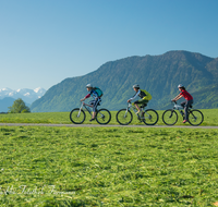 fileadmin/roha/images_galerie/Freizeit-Sport/Mountainbike-Radfahren/SPO-MOUN-ANG-0019-0807-02-D-roha-Sport-Mountainbike-Radfahren-Anger-Steinernes-Meer-Fuderheuberg.png