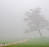 fileadmin/roha/images_galerie/stimmung-Sonne/STIM-TEI-AN-RA-0014-D-roha-Stimmung-Teisendorf-Anger-Ramsau-Nebel-Eiche-Weg.png
