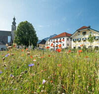 fileadmin/roha/images_galerie/orte_landschaft/Anger/Anger/AN-DORFPL-0025-7-D-roha-Anger-Dorfplatz-Kirche-Hochstaufen.jpg