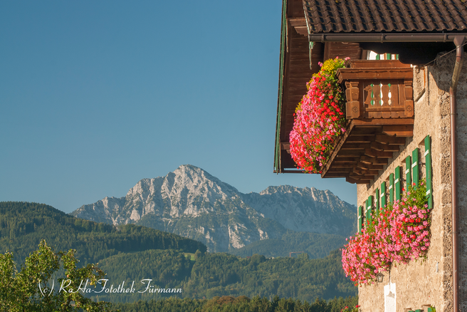 Haus - Blumenschmuck - Deko - RoHa Fotothek