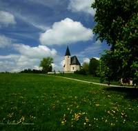 fileadmin/roha/images_galerie/orte_landschaft/Tittmoning/TITTM-MEGG-0002-D-roha-Tittmoning-Meggenthal-Kirche-Blumenwiese-Kastanienbaum.png