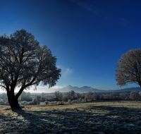 fileadmin/roha/images_galerie/stimmung-Sonne/STIM-SAALD-NEUKL-2-5313-D-roha-Stimmung-Sonne-Saaldorf-Neukling-Winter.png