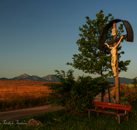 fileadmin/roha/images_galerie/kirche_religion/Saaldorf/KKKM-SAALD-KEM-0030-1-D-roha-Wegkreuz-Saaldorf-Kemating-Getreidefeld.png