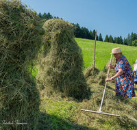 fileadmin/roha/images_galerie/Landwirtschaft/LANDW-HEU-HIEF-1-1123-3-D-roha--Landwirtschaft-Heu-Ernte-Hiefel-Neukirchen.jpg