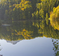 fileadmin/roha/images_galerie/Hintergrund-Download/1920x1080_-_Handy/AN-HOE-HERB-0007-D-roha-Anger-Hoeglwoerth-See-Hochstaufen-Zwiesel-Herbst-Wald-Spiegelung.png