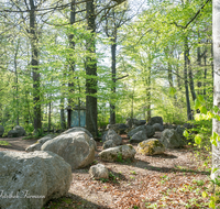 fileadmin/roha/images_galerie/orte_landschaft/Teisendorf/Geo-Park-Lehrpfad/TEI-GEOL-GAR-0022-D-roha-Teisendorf-Geologischer-Garten-Findlinge-Steine-Fruehjahr.png