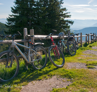 fileadmin/roha/images_galerie/Freizeit-Sport/Mountainbike-Radfahren/TEI-STO-MOUN-0010-D-roha-Teisendorf-Anger-Stoisser-Alm-Mountainbike.png