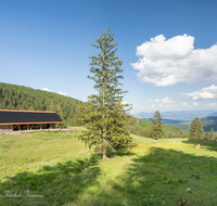 fileadmin/roha/images_galerie/orte_landschaft/Stoisser-Alm/TEI-STO-STALL-0002-D-roha-Teisendorf-Anger-Stoisseralm-Stall-Photovoltaik.png